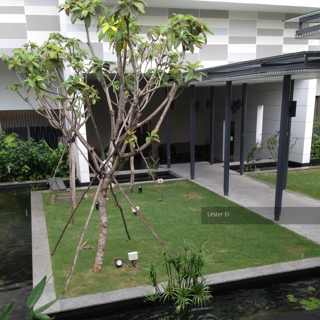 Rochelle At Newton (D11), Condominium #117374832